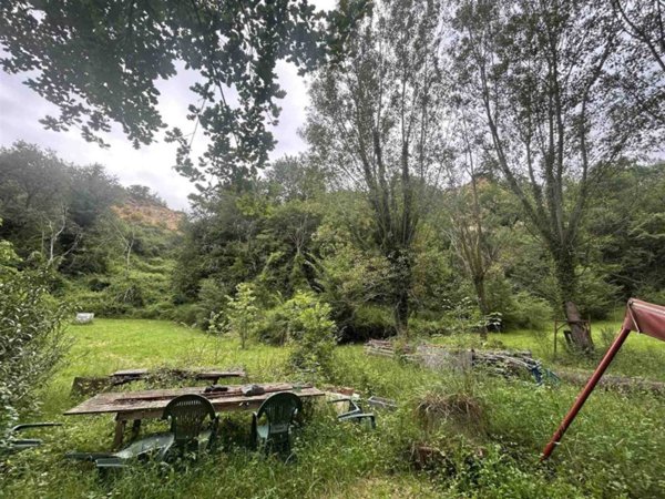 terreno agricolo in vendita a Reggello in zona Montanino
