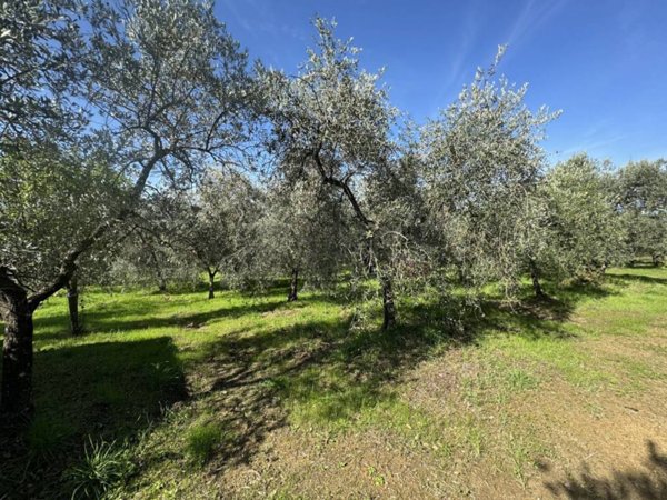 terreno agricolo in vendita a Reggello in zona Cascia