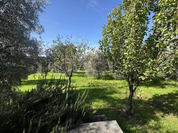 terreno agricolo in vendita a Reggello