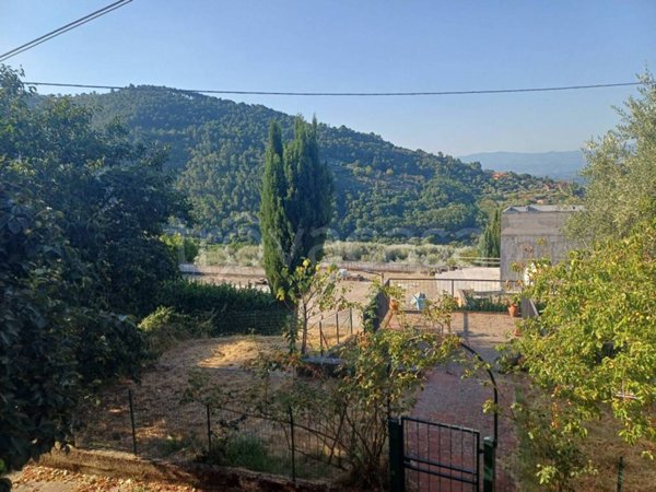 immagine annuncio 0 di 14