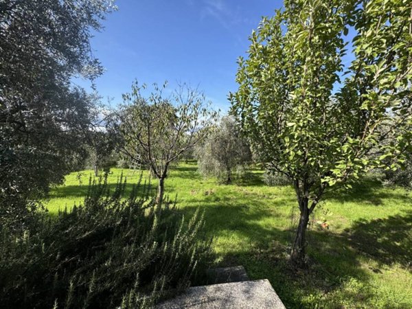 terreno agricolo in vendita a Reggello in zona Cascia