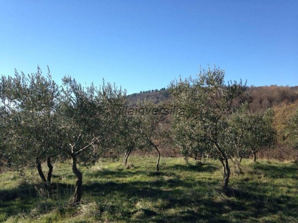 terreno agricolo in vendita a Reggello