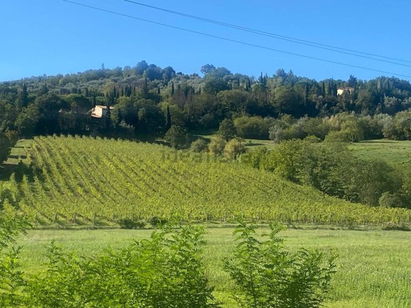 casa indipendente in vendita a Rignano sull'Arno