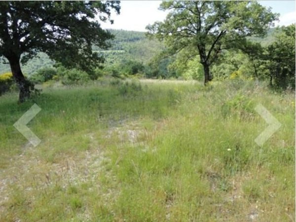 negozio in vendita a Rignano sull'Arno