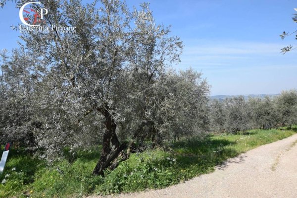 terreno agricolo in vendita a Rignano sull'Arno in zona Bombone