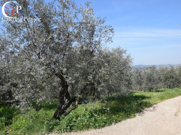 terreno agricolo in vendita a Rignano sull'Arno in zona Bombone