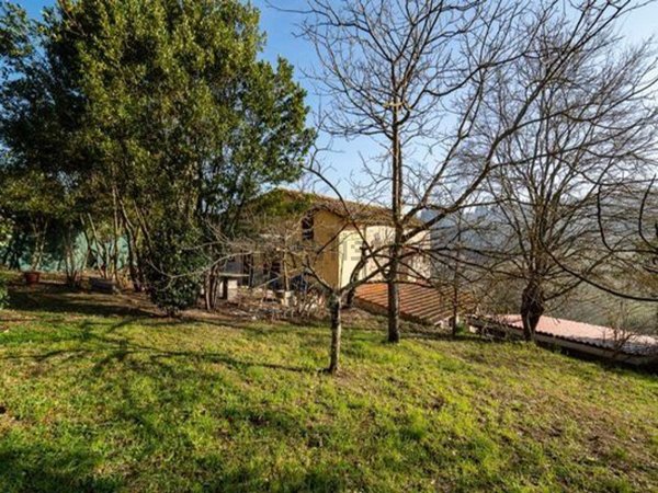 esavano in vendita a Rignano sull'Arno