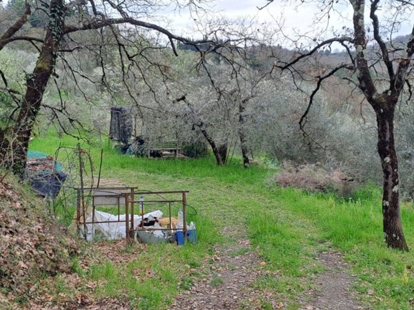 terreno agricolo in vendita a Rignano sull'Arno in zona Bombone