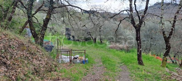 terreno agricolo in vendita a Rignano sull'Arno in zona Bombone