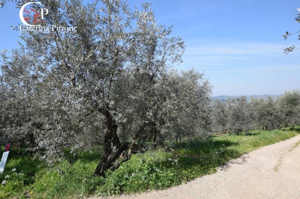terreno agricolo in vendita a Rignano sull'Arno in zona Bombone