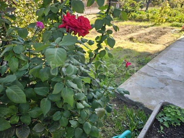 quadrivano in vendita a Rignano sull'Arno in zona Rosano