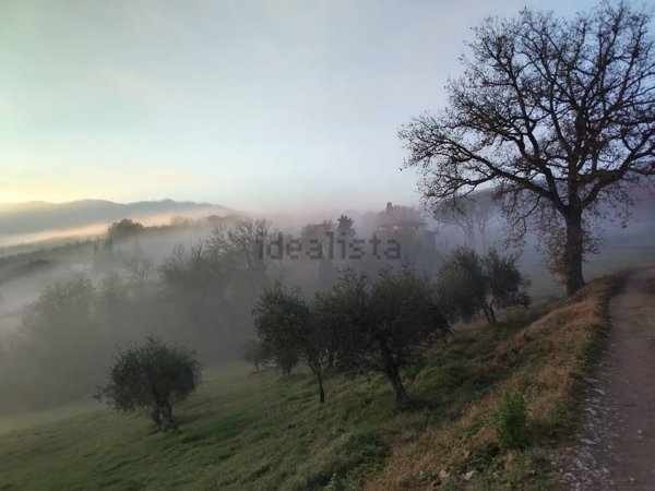 casa indipendente in vendita a Rignano sull'Arno