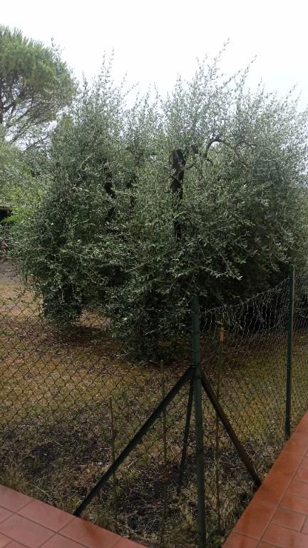 appartamento in vendita a Rignano sull'Arno