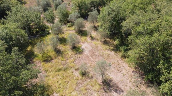 terreno agricolo in vendita a Rignano sull'Arno
