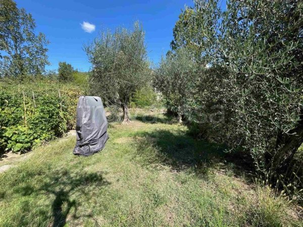 appartamento in vendita a Rufina