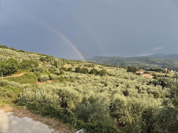 appartamento in vendita a Rufina in zona Scopeti