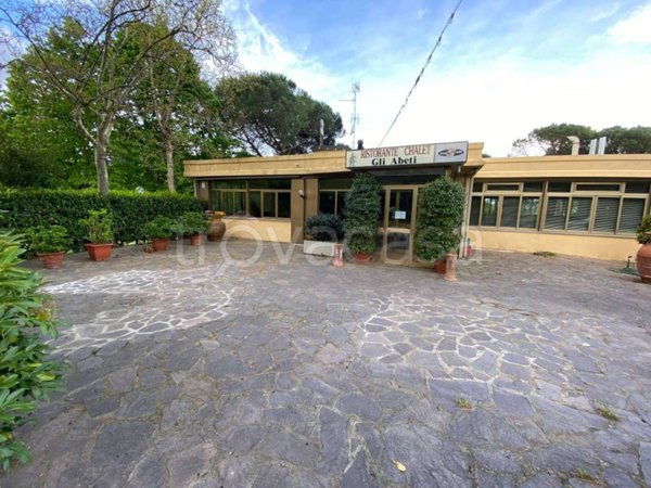 negozio in vendita a Rufina in zona Pomino