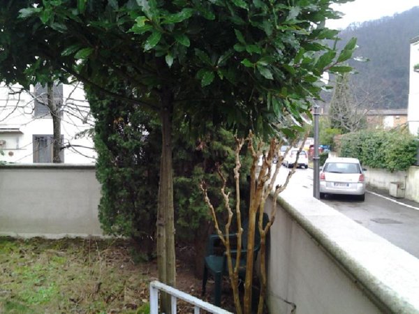 casa indipendente in vendita a Rufina in zona Contea