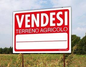 terreno agricolo in vendita a Rufina