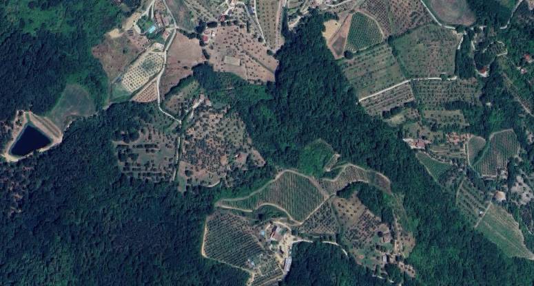 intera palazzina in vendita a Rufina in zona Masseto
