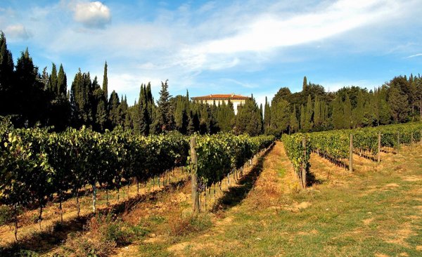 appartamento in vendita a Rufina