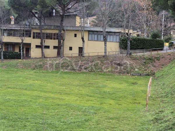 negozio in vendita a Rufina in zona Pomino