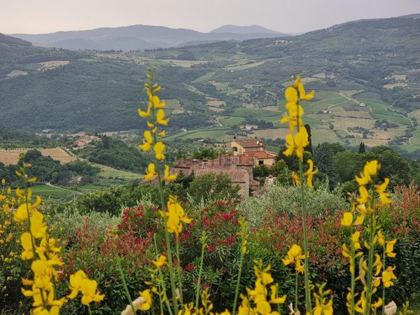 appartamento in vendita a Rufina