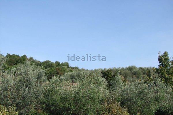 terreno agricolo in vendita a Rufina in zona Scopeti