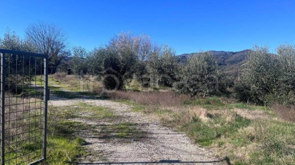 casa indipendente in vendita a Rufina