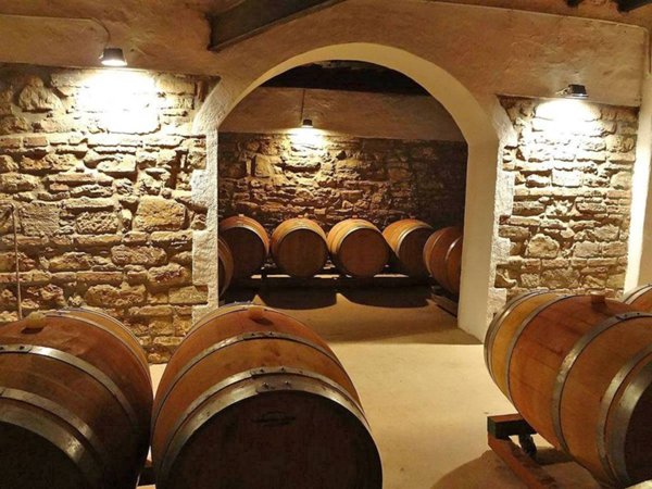 azienda agricola in vendita a Rufina in zona Masseto