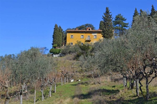 azienda agricola in vendita a Rufina
