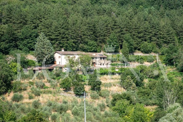 casale in vendita a Rufina