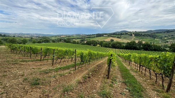 terreno agricolo in vendita a San Casciano in Val di Pesa