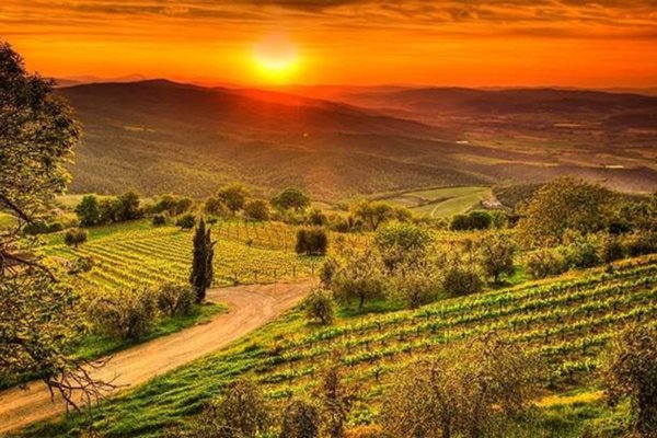 appartamento in vendita a San Casciano in Val di Pesa
