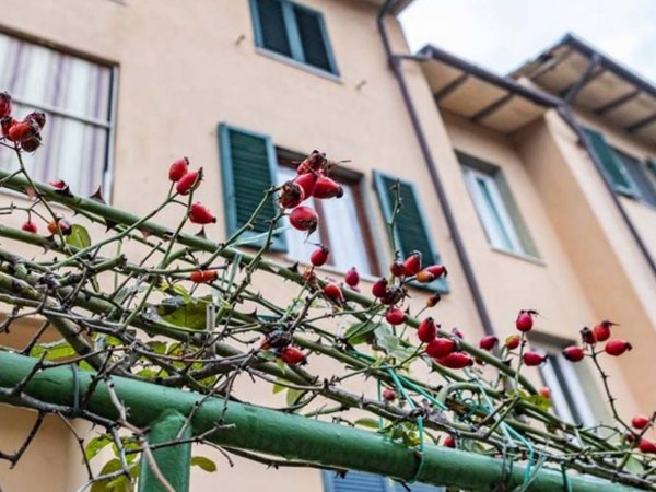 appartamento a San Casciano in Val di Pesa in zona Mercatale in Val di Pesa