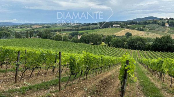 terreno agricolo in vendita a San Casciano in Val di Pesa