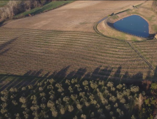 terreno agricolo in vendita a San Casciano in Val di Pesa