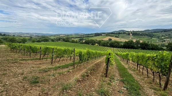 terreno agricolo in vendita a San Casciano in Val di Pesa
