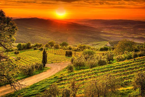 appartamento in vendita a San Casciano in Val di Pesa