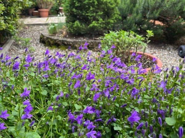 appartamento in vendita a San Casciano in Val di Pesa