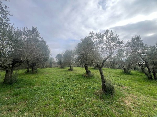 terreno agricolo in vendita a San Casciano in Val di Pesa in zona Cerbaia