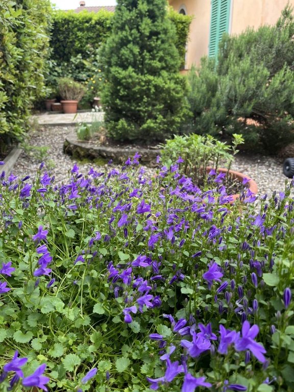 appartamento in vendita a San Casciano in Val di Pesa in zona Spedaletto