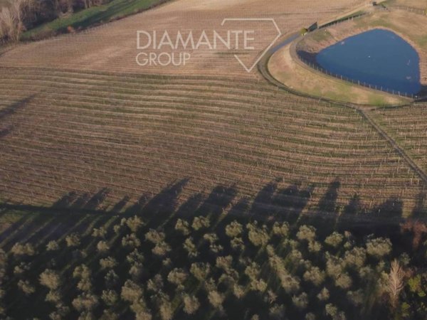 terreno agricolo in vendita a San Casciano in Val di Pesa