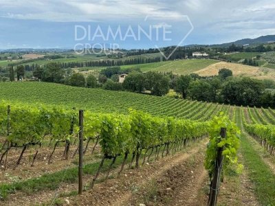 terreno agricolo in vendita a San Casciano in Val di Pesa