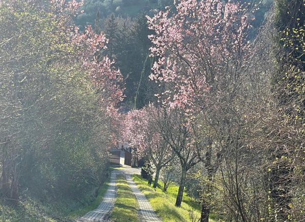 casa indipendente in vendita a San Casciano in Val di Pesa