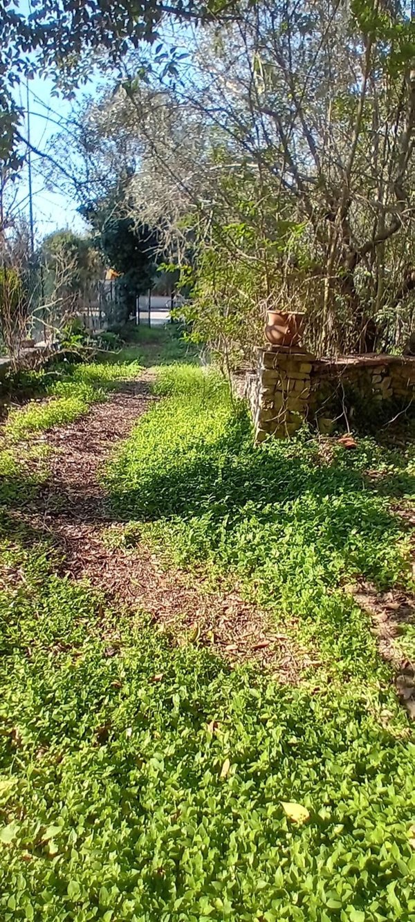 appartamento a San Casciano in Val di Pesa in zona Mercatale in Val di Pesa