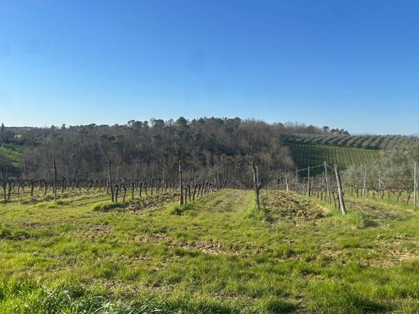 casale in vendita a San Casciano in Val di Pesa