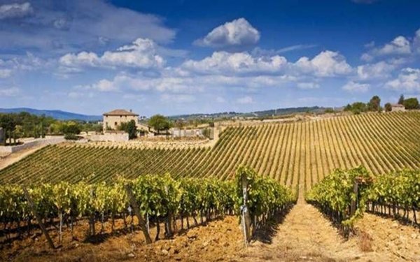 casa indipendente in vendita a San Casciano in Val di Pesa