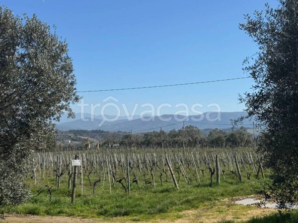 casa indipendente a San Casciano in Val di Pesa in zona Mercatale in Val di Pesa