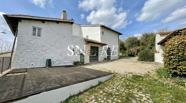 esavano in vendita a San Casciano in Val di Pesa